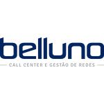 Belluno Tecnologia (Brazil)